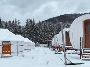 Glamping Spiritul Zimbrului